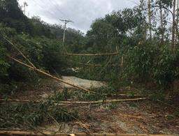 Đường 71 lại sạt lở, ngăn cản việc tìm kiếm tại thủy điện Rào Trăng 3