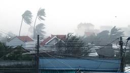 Cơn bão số 12 đang càn quét đất liền, mưa lớn đến 12/11