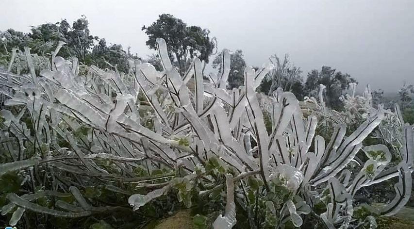Không khí lạnh kết hợp với mưa khiến băng giá phủ trắng đỉnh Yên Tử