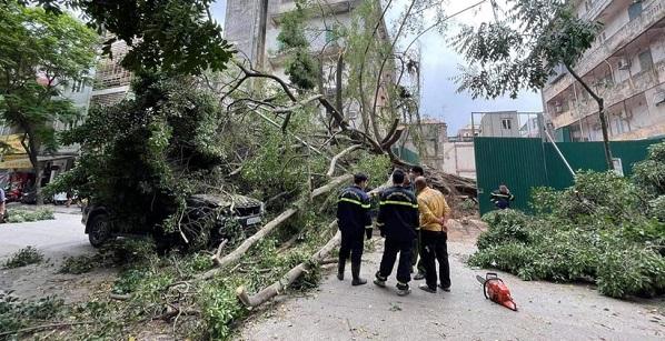 Cây xanh ở Hà Nội bật gốc đè trúng xe ô tô con đang di chuyển, nhiều người hoảng sợ