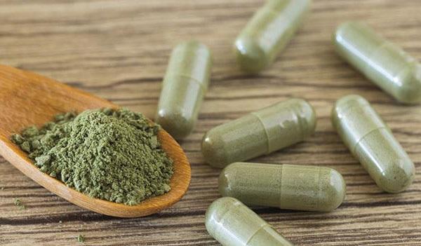 Các nhà khoa học Mỹ phát hiện mới về công dụng của xuyên tâm liên