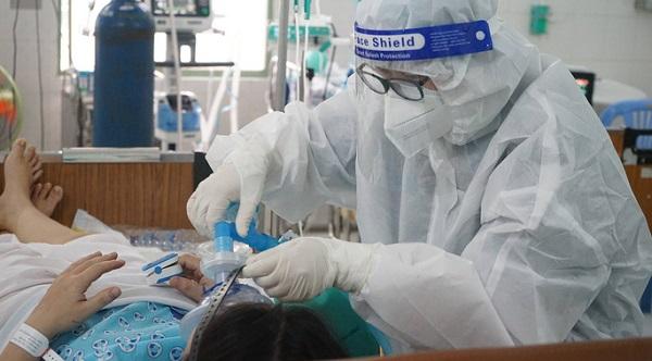 Bộ y tế chính thức lên tiếng về việc dùng địa long chữa Covid-19