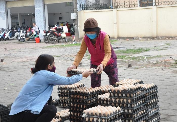 Hải Dương, Hưng Yên: Trứng gà rẻ như cho, 14 ngàn/chục vẫn không ai mua