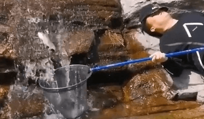 Người đàn ông chứng minh "không làm mà vẫn có ăn" khi nằm ngủ mà vẫn bắt được cả rổ cá