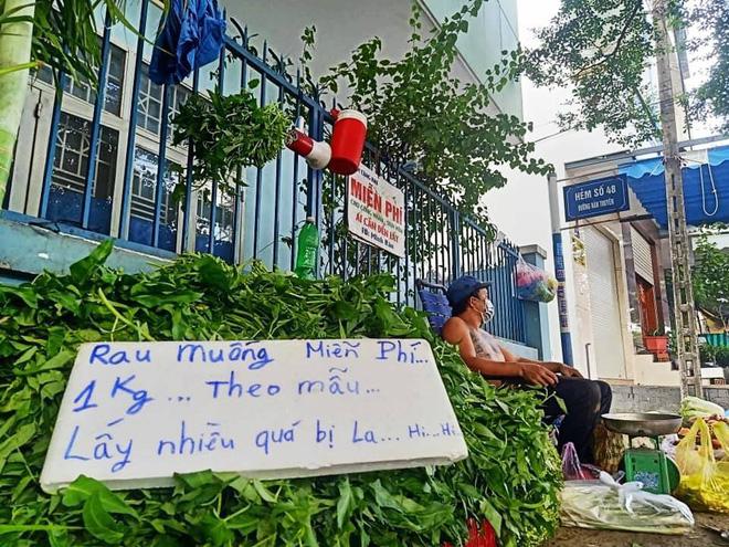 Anh bán rau "ngầu nhất mùa cô vy": Rau muống "đột biến" 5 tỷ/bó, nay giảm còn 5 nghìn/bó, ai xin thì cho