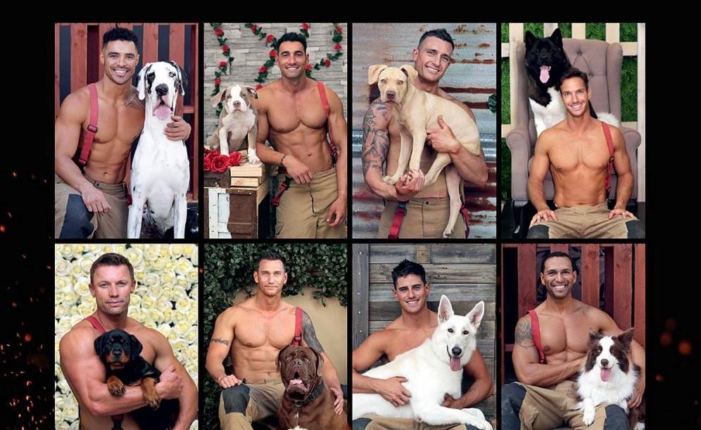 Dàn lính cứu hỏa "6 múi" gây náo loạn MXH khi chụp ảnh với động vật làm từ thiện