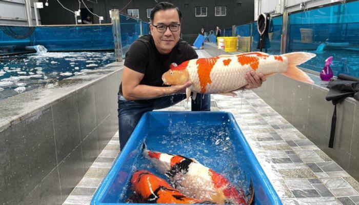 "Vua cá Koi" Thắng Ngô là ai? Đại gia sở hữu trại cá hàng top, từng gây sốt tại "Siêu trí tuệ"