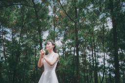 Khám phá đồi thông Bồ Bồ - "tiểu Đà Lạt" ngay ngoại ô Đà Nẵng