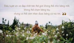 Những câu nói hay về cuộc sống, tình yêu và tình bạn
