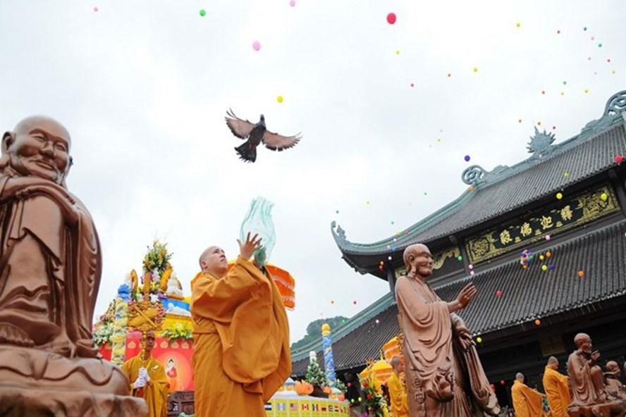 Những lưu ý khi phóng sinh Rằm tháng 7