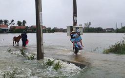 Phú Yên: Một người bị lũ cuốn mất tích khi bão số 12 đổ bộ