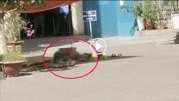 Hà Nội: Thêm một vụ rơi chung cư, người đàn ông tử vong tại chỗ