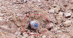 Nghệ An: Phát hiện quả bom còn nguyên kíp nổ khi san lấp đường