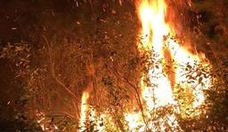 Huy động 1.100 người dập đám cháy rừng trồng Sóc Sơn