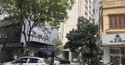 Hà Nội: Nữ giúp việc rơi từ tầng 11 chung cư tử vong thương tâm