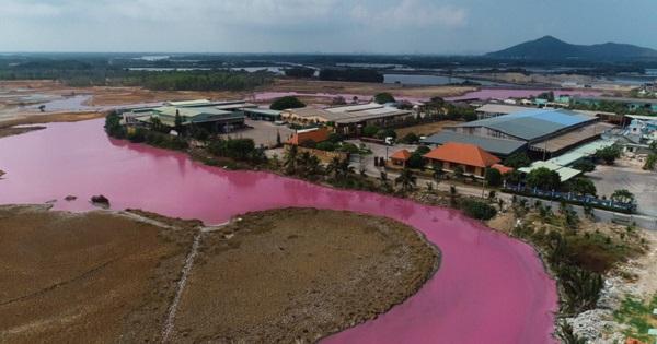 Vũng Tàu: Cả đầm nước mênh mông bỗng biến thành màu hồng tím lạ mắt