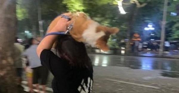Vác chó chạy giữa trời mưa, cô gái bất ngờ thoát ế
