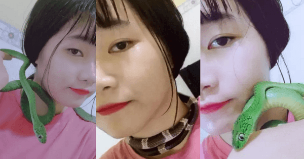 Ớn lạnh với cô gái thích nuôi rắn, quấn quanh cổ, cưng chiều như em út