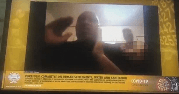 Quan chức Nam Phi náo loạn vì cô vợ khỏa thân bỗng xuất hiện trước camera khi đang họp online