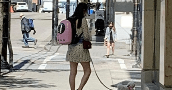 Vương Tổ Hiền gây chú ý khi ăn diện trẻ trung như gái 20 dù đã gần 60