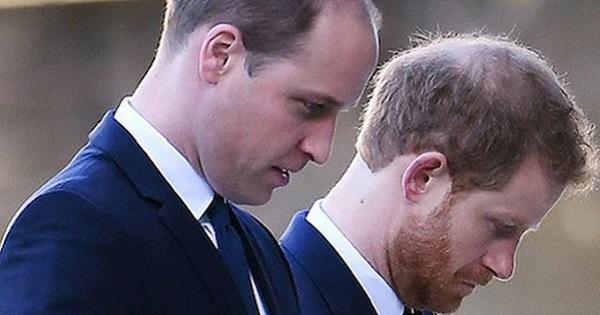 William quyết không tin Harry dù thái tử Charles muốn làm hòa