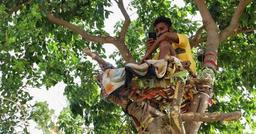 Bệnh viện quá tải, chàng trai nhiễm Covid-19 leo lên cây tự cách ly