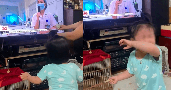 Xúc động khoảnh khắc em bé giơ tay đòi bế, khóc nức nở khi thấy mẹ đi chống dịch xa nhà trên tivi