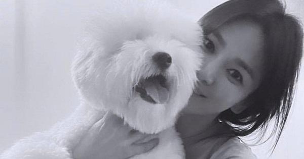 Là "nữ thần", Song Hye Kyo cũng có lúc lộ khuyết điểm lớn trên gương mặt