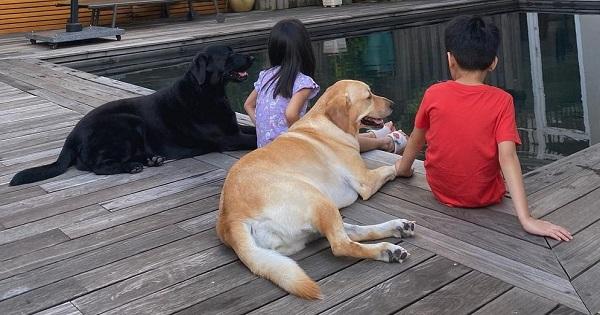 Tăng Thanh Hà hé lộ cách hai con thư giãn, tuyệt đối "nói không" với smartphone