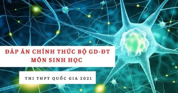Đáp án chính thức môn Sinh học THPT quốc gia 2021 từ Bộ Giáo dục: Tất cả các mã đề