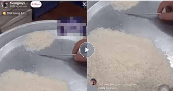 Rảnh rỗi mùa dịch, thanh niên livestream đếm gạo hút gần 10 nghìn người xem