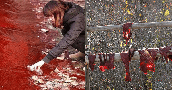 Top 11 cơn mưa kỳ lạ nhất thế giới, có mưa thịt, mưa máu và cả mưa tiền