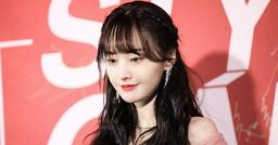 Nối bước Triệu Vy, Trịnh Sảng bị xóa khỏi loạt poster phim đình đám