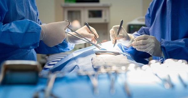 Xuất hiện ca ghép thận lợn cho người đầu tiên trên thế giới