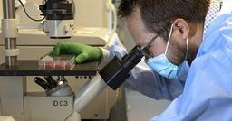 Delta, Omicron chưa qua đã xuất hiện thêm biến chủng Covid-19 mới chứa 46 đột biến