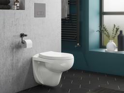 Thiết kế bồn cầu treo tường, giải pháp lý tưởng cho phòng tắm có diện tích "khiêm tốn"