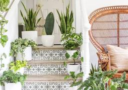 4 ý tưởng trang trí cầu thang đẹp mắt, ấn tượng từ cái nhìn đầu tiên