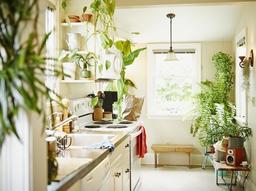 Những phòng bếp muốn ở lại mãi vì vừa đẹp, vừa thư giãn nhờ cây cảnh