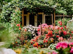 Thiết kế sân vườn: Những xu hướng được ưa chuộng trong năm 2022