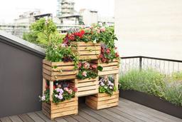 Trồng cây trong thùng gỗ: Những điều cần biết để trồng cây ở nhà phố hiệu quả