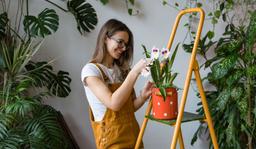 6 thứ rẻ tiền nhưng đem lại cảm giác hạnh phúc ngay lập tức khi bước chân vào nhà