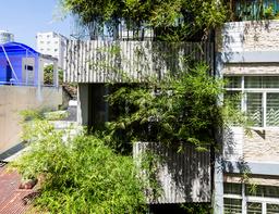 Ngôi nhà phố nhìn đã thấy tan sạch mệt mỏi, bon chen nhờ tre xanh phủ dọc 6 tầng nhà