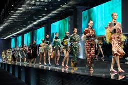 Lịch sử hình thành và phát triển thương hiệu Prada