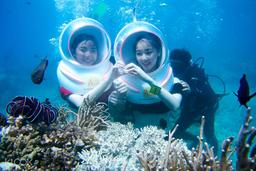 Sea Walking-tour đi bộ dưới đáy biển nhất định phải thử khi tới Nha Trang