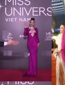 Kim Duyên bị mời ra khỏi thảm đỏ Hoa hậu Hoàn vũ vì 'câu giờ' tạo dáng 