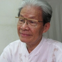 Profile Nguyễn Tài Tuệ