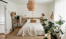 Bộ sưu tập 7 loại cây cảnh lọc không khí hiệu quả cho phòng ngủ 