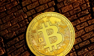Giá Bitcoin hôm nay 1/12: Các đồng tiền tăng giảm khác nhau
