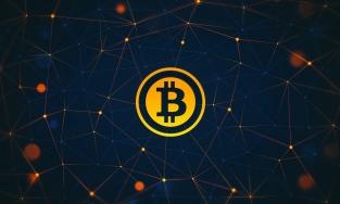 Giá Bitcoin hôm nay 25/12: Bitcoin tăng nhưng một số Altcoin lại giảm