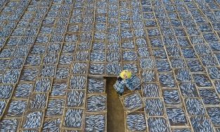 Ảnh phơi cá tại Việt Nam lọt top ảnh đẹp Sony World Photography Awards 2020